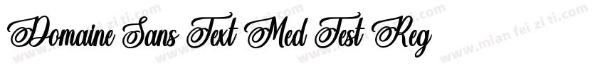 Domaine Sans Text Med Test Regular字体转换